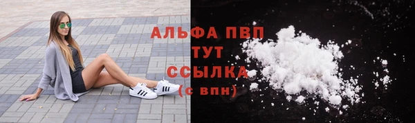 гашик Алексин