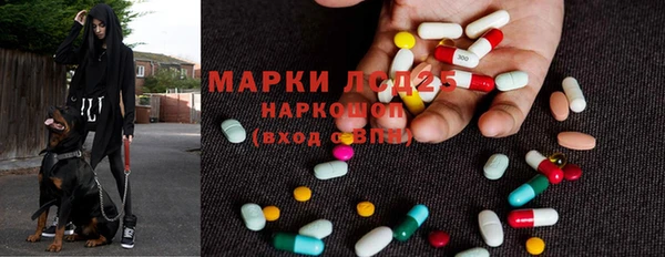 гашик Алексин