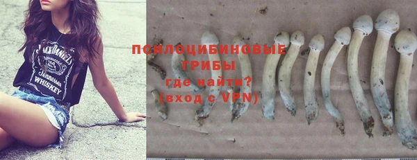гашик Алексин