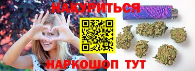 бошки Гатчина