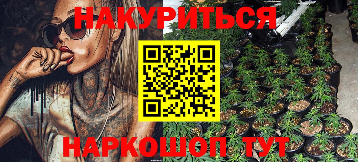 Солнечногорск  Марихуана ГИДРОПОН  Канабис OG Kush  Вход с VPN  МАРИХУАНА марихуана 